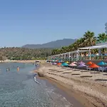 Grand Efe (adults Only)