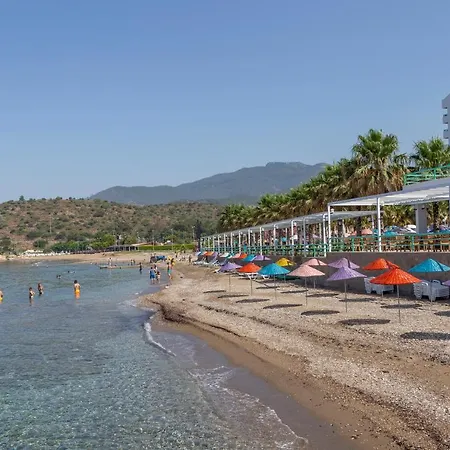 Grand Efe (adults Only)